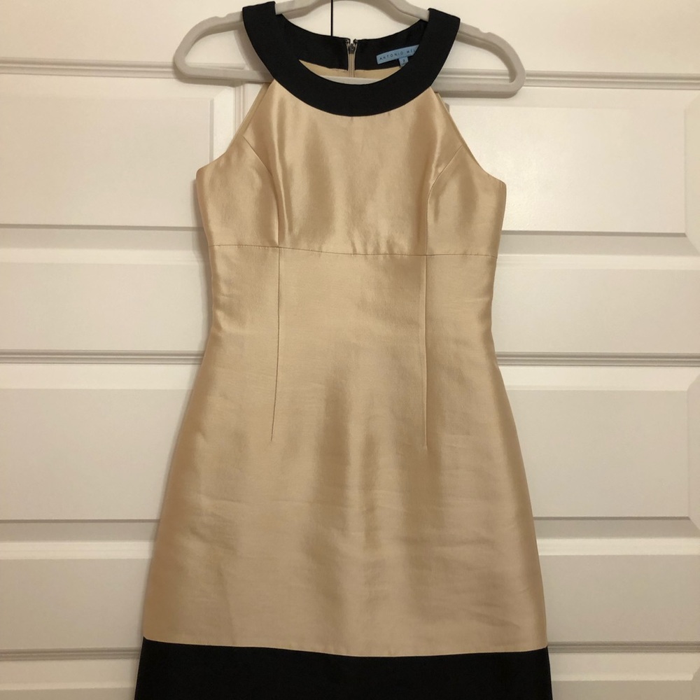 Antonio Melani Size 2 Dress